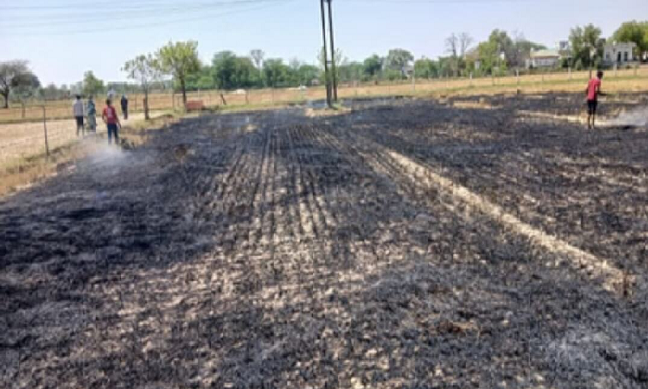 सोंख में हाईटेंशन लाइन से दो किसानों की पराली जलकर हुई राख