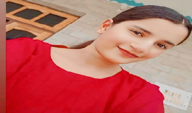 हिमाचल दिवस