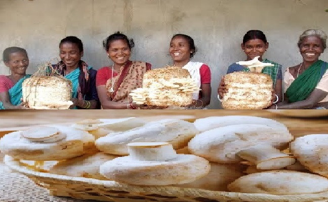  मशरूम उत्पादन से 10 लाख तक कमाई: योगी सरकार संवार रही ग्रामीण महिलाओं का जीवन