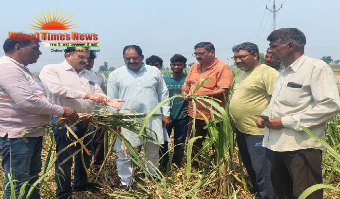 किसानों को गन्ने में चोटी बेधक कीट सहित विभिन्न रोगों से बचाव की दी जानकारी