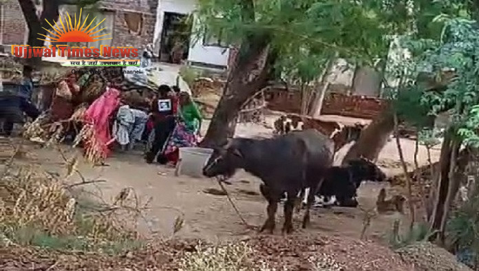 जमीनी विवाद में एसएसपी से शिकायत, मुकदमा दर्ज करने की मांग: महिलाओं के बीच मारपीट