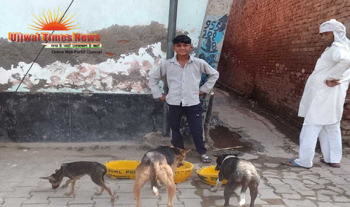 “प्यासे जीवन को राहत—मानवता की सच्ची पहचान”