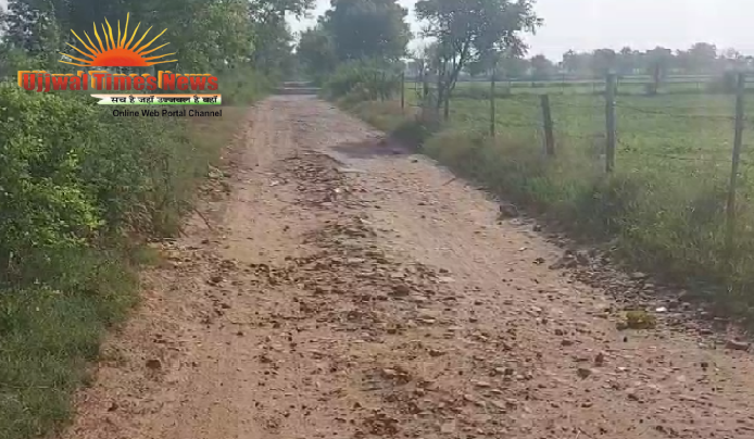 बदहाल सड़क से ग्रामीण परेशान, सीसागढ़ी से जरारा तक 3 किलोमीटर मार्ग बना मुसीबत