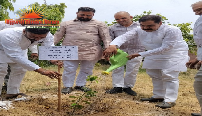 12 साल विश्वास के, विकास के, जन कल्याण के' अभियान के तहत भाजपाइयों ने किया वृक्षारोपण