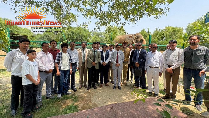 Awareness and Rehabilitation Often Achieve More Than Punishment”: Justice Satya Veer Singh at Wildlife SOS Workshop on Wildlife Crime and Forfeiture