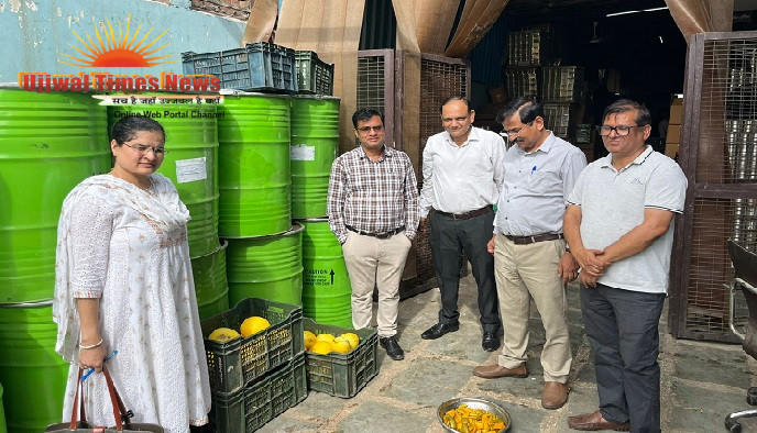 मैंगो पल्प एवं पाइनएप्पल स्लाइस के नमूने लिए, 54 किलो सड़े-गले फल मौके पर ही नष्ट कराए