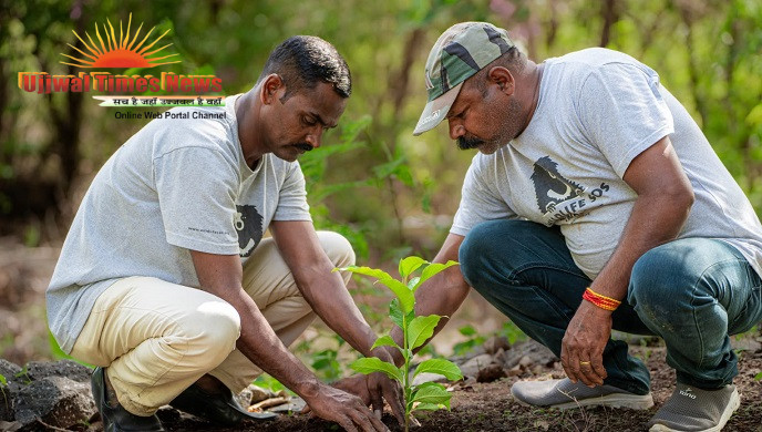 WILDLIFE SOS CROSSES MILESTONE OF PLANTING OVER 500,000 NATIVE SAPLINGS
