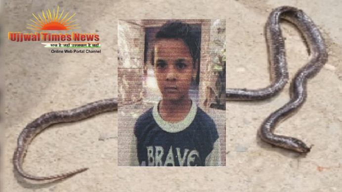 दिन में खेलते हुए सांप के बच्चे को मारने वाले बालक को देर रात सांप ने डसा, मौत से परिवार में मचा कोहराम