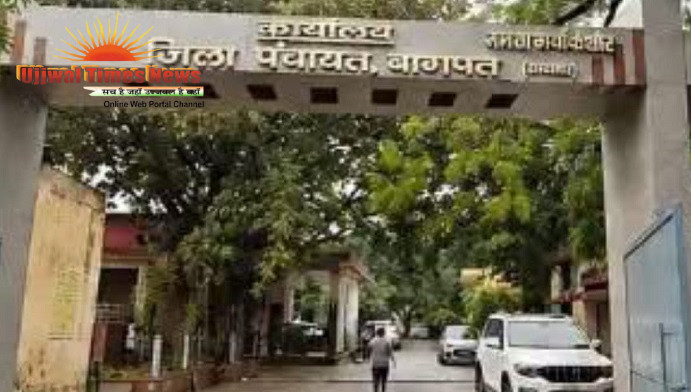 जिला पंचायत परिसर में 9 जुलाई को चौ चरण सिंह मूर्ति का सौंदर्यीकरण व बाबा साहेब की मूर्ति का अनावरण