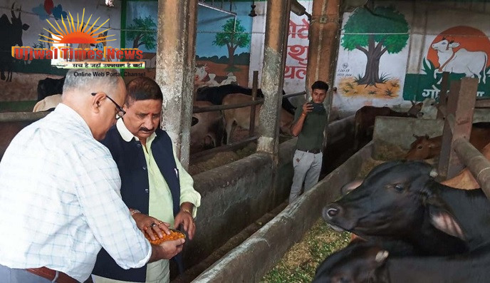 गौ सेवा आयोग के सदस्य दीपक गोयल ने खेकड़ा गौशाला का किया निरीक्षण, व्यवस्थाओं को और बेहतर बनाने के दिए निर्देश
