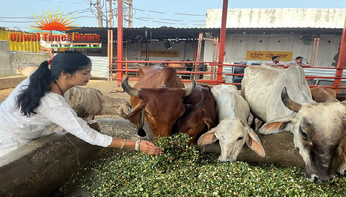 गौसेवा का पुण्य से मिलती जनसेवा को सतत प्रेरणा : वंदना गुप्ता