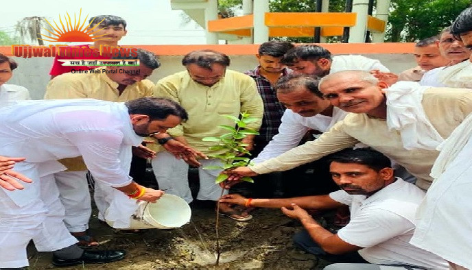 एक पेड़ मां के नाम: सांकरौद में मिला जनसमर्थन, विधायक योगेश धामा ने किया शुभारंभ, सैकड़ों पौधों का हुआ रोपण