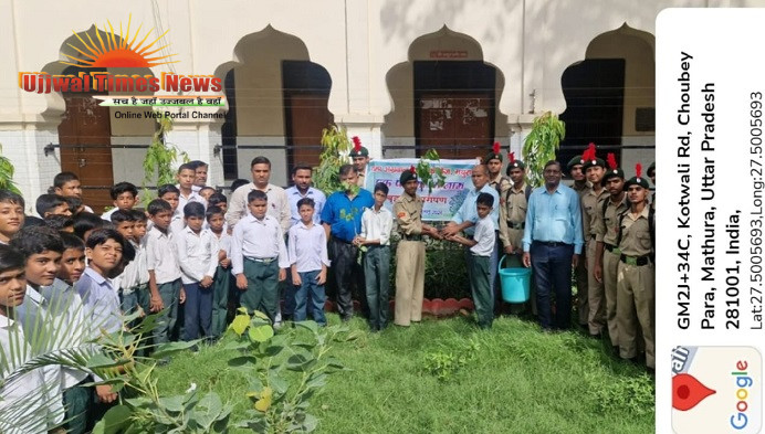 एनसीसी कैडेट्स ने चंपा अग्रवाल इंटर कॉलेज में चलाया वृहद वृक्षारोपण अभियान, 'एक पेड़ मां के नाम' से दिया पर्यावरण संरक्षण का संदेश