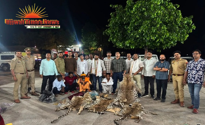 ILLEGAL WILDLIFE TRAFFICKING GANG BUSTED BY UP FOREST DEPT, WILDLIFE SOS & POLICE - POACHERS ARRESTED; TEN LEOPARD SKINS SEIZED