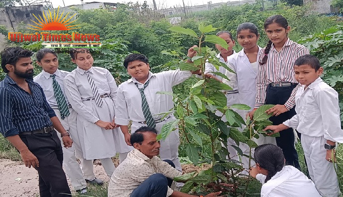 महाराणा प्रताप पब्लिक स्कूल टटीरी में वृहद् वृक्षारोपण कार्यक्रम संपन्न