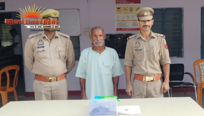 जमीन के विवाद में हथियार का प्रदर्शन पड़ा भारी, वायरल वीडियो के आधार पर बुजुर्ग गिरफ्तार
