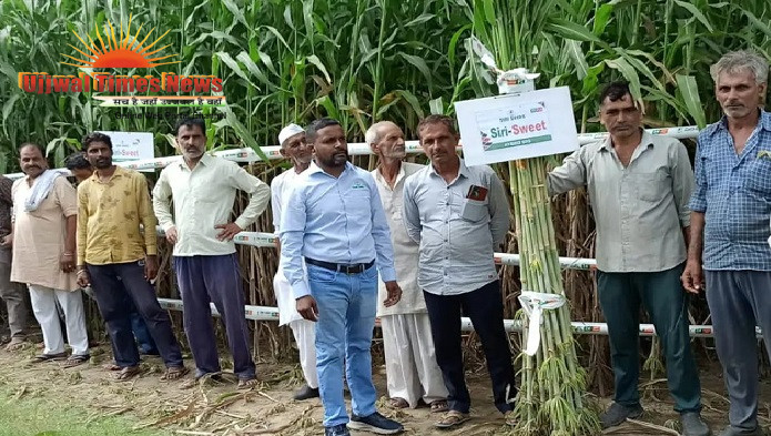 ज्वार और बाजरे की उन्नत फसल लेने के लिए खेत में हुई गोष्ठी, किसानों ने विशेषज्ञों से किए सवाल