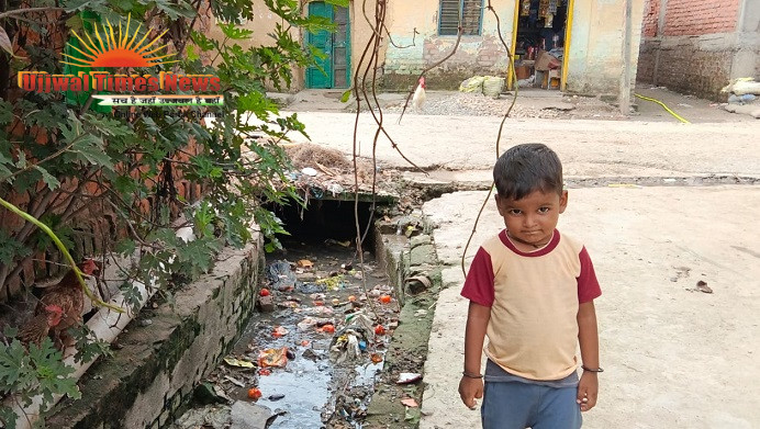 गांव में जलभराव से मच्छरों का आतंक, ग्रामीण हो रहे परेशान