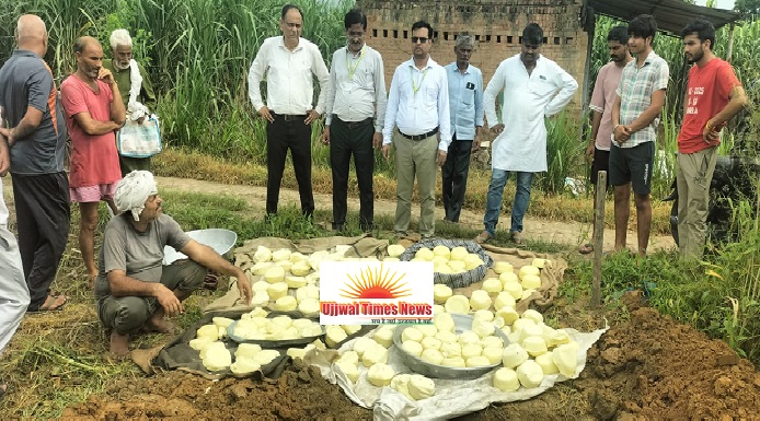 रक्षाबंधन से पहले खाद्य विभाग की बड़ी कार्रवाई, 455 किलो मावा और 65 किलो पनीर नष्ट