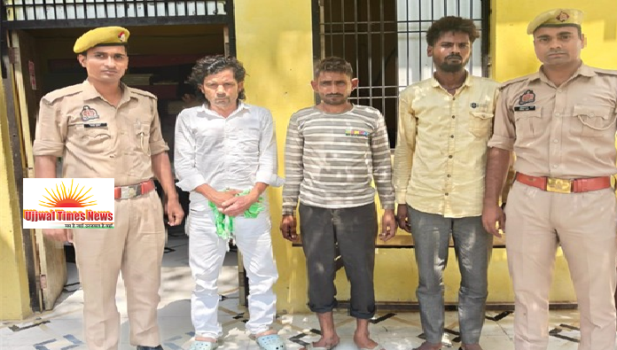 मंदिर से चोरी गाय का 24 घंटे में खुलासा, महावन पुलिस ने तीन आरोपियों को दबोचा