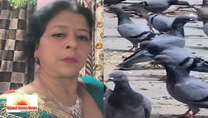अहिंसा के पथ पर चलते हुए पक्षियों के लिए छतों पर दाना-पानी जरूर रखें महिलाएं: अनीता कौशिक